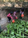Họat động trải nghiệm “chăm sóc vườn rau” của các bé lớp mẫu giáo bé trung tâm trường mầm non Pú Hồng
