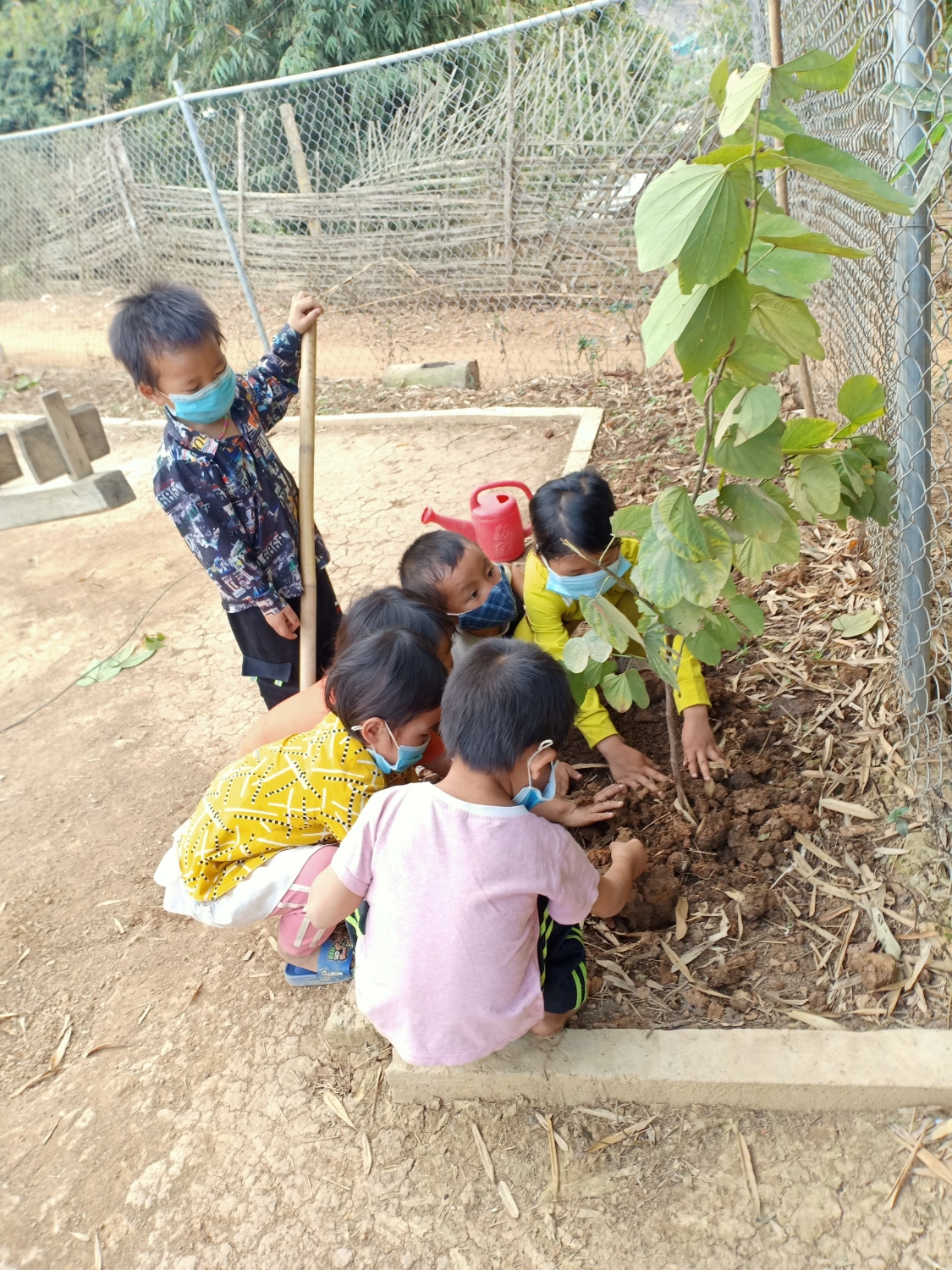 "Tết trồng cây" của cô, trò lớp mẫu giáo bản Ao Cá