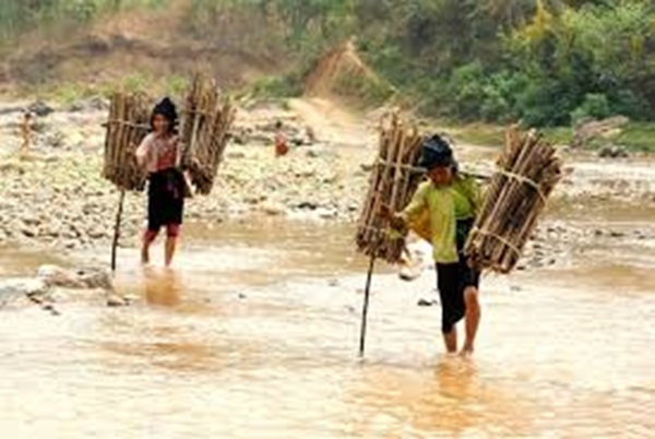 Chi hội phụ nữ giúp gia đình lấy củi