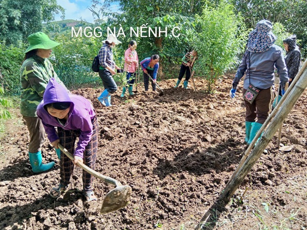 Phụ huynh giúp đỡ làm vườn rau